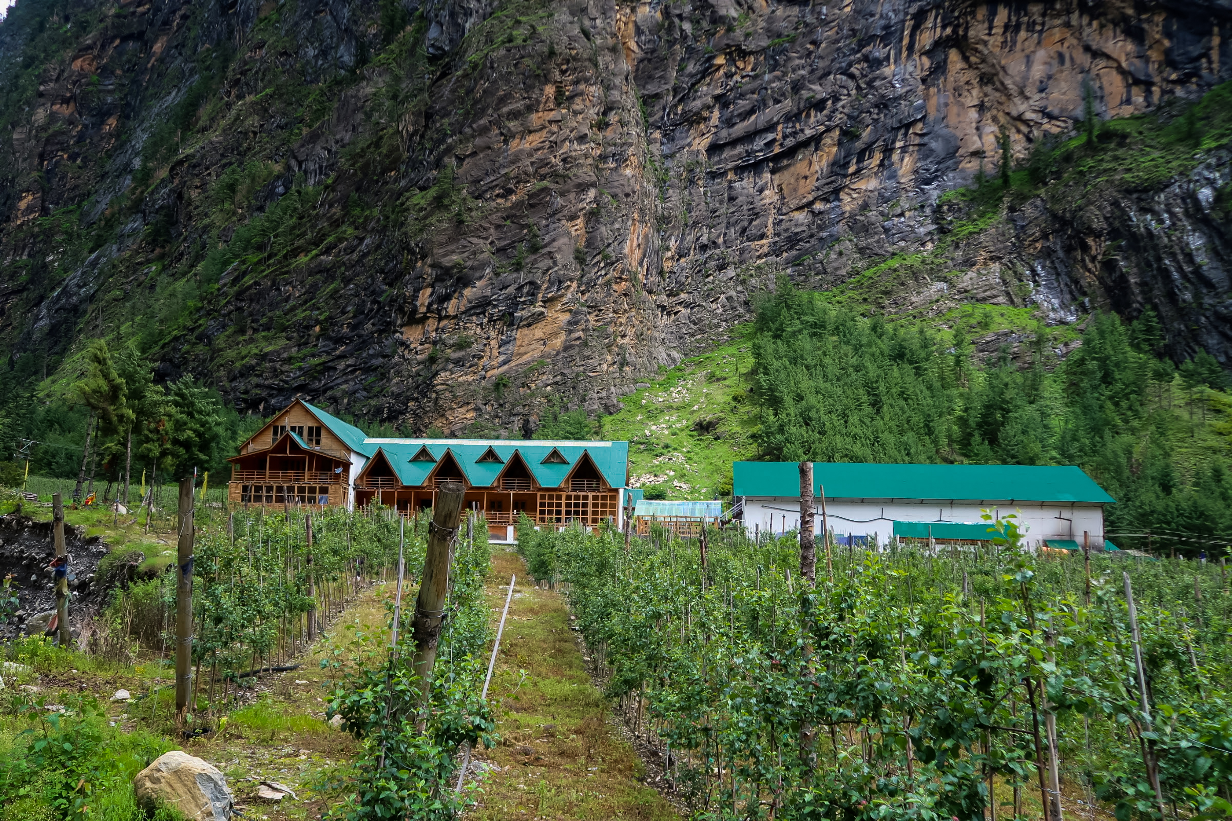 Manang Valley bottle